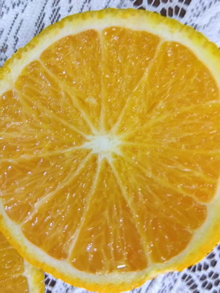 kouhei2708's tweet image. 酸味無く爽やかな甘味の豆酘のスイートスプリング🍊
　#対馬　#豆酘のスイートスプリング🍊