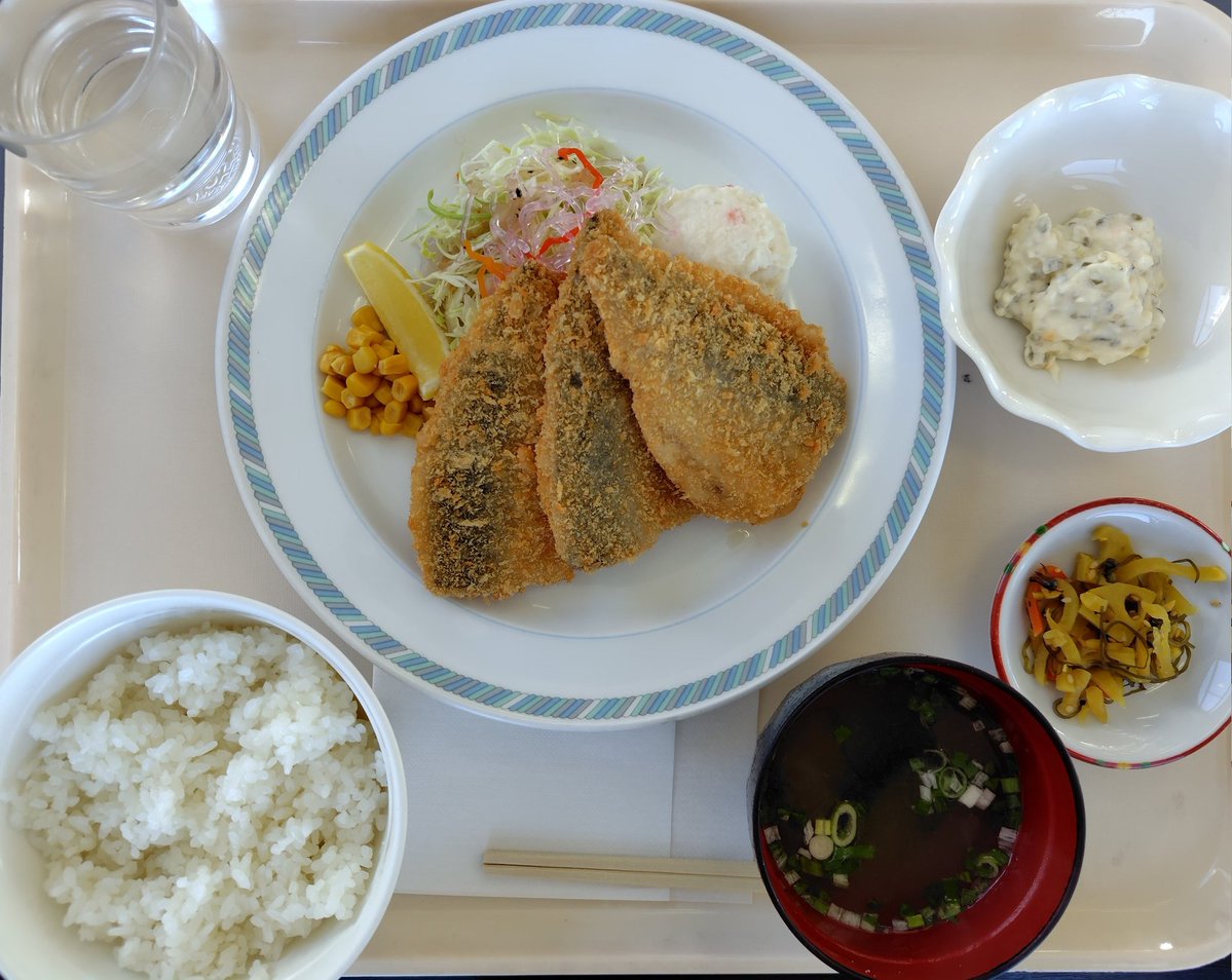 【アジフライ定食】
来週はHAKUSAN来れないので、定番のコレ☝️
アジはDHA豊富ですと！脳の活性化のために食べなければ😋
#木曽福島スキー場
#HAKUSAN