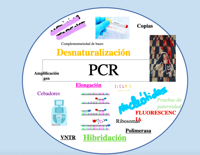 Proyecto Simbiosis🧬🌎👨‍🏫👩‍🏫 tweet media