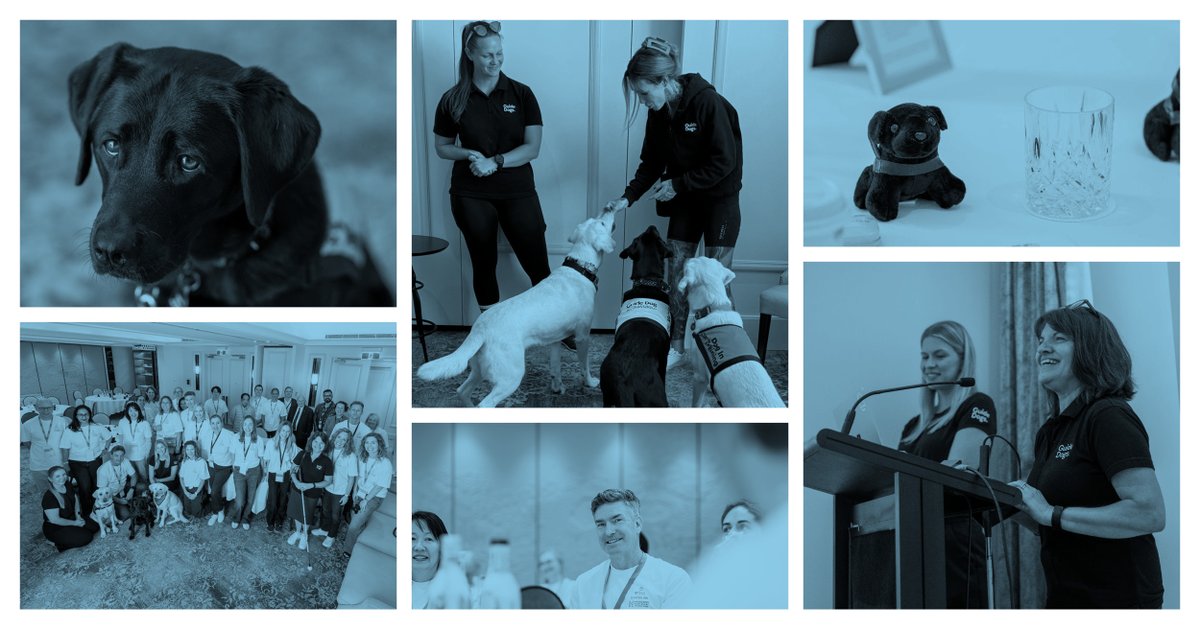 During Interlaw Cares, we heard from <a href="/GuideDogsAUS/">Guide Dogs Australia</a>, about the work they do to train puppies and dogs, and how their work assists people who are blind or have low vision gain the freedom and independence to move safely and confidently around their communities.

#Interlaw2026APRM