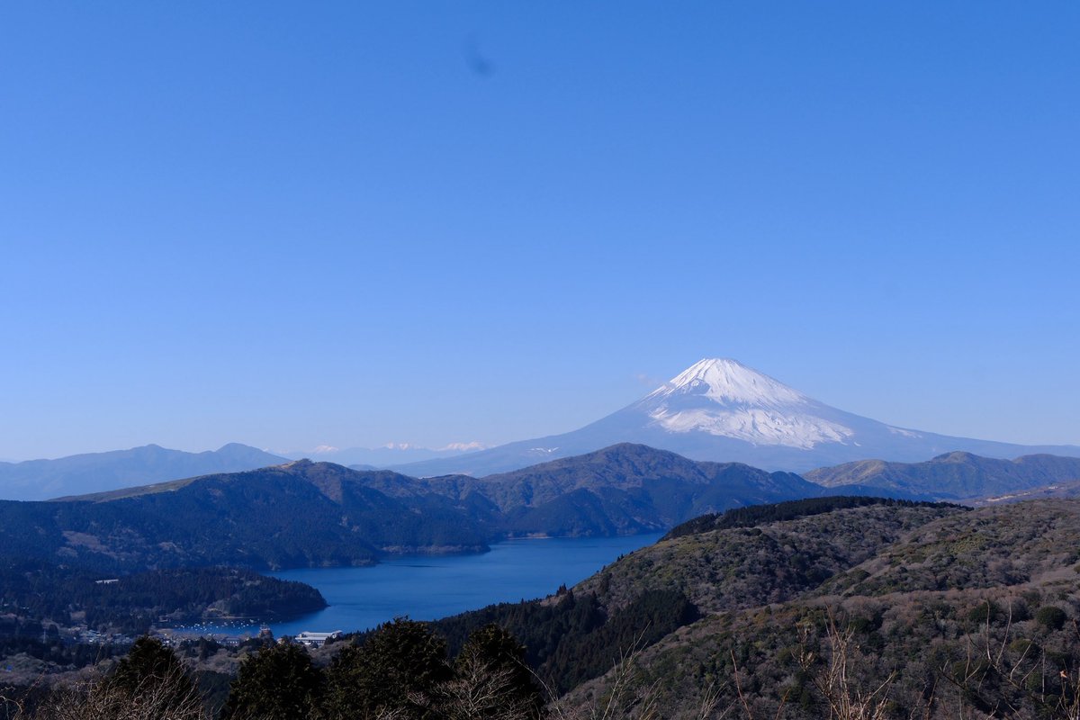 Kumi☆o tweet media