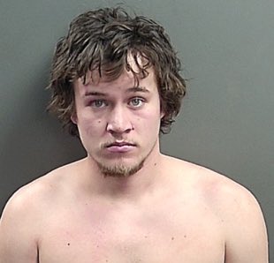 Arrested for molesting Todllers