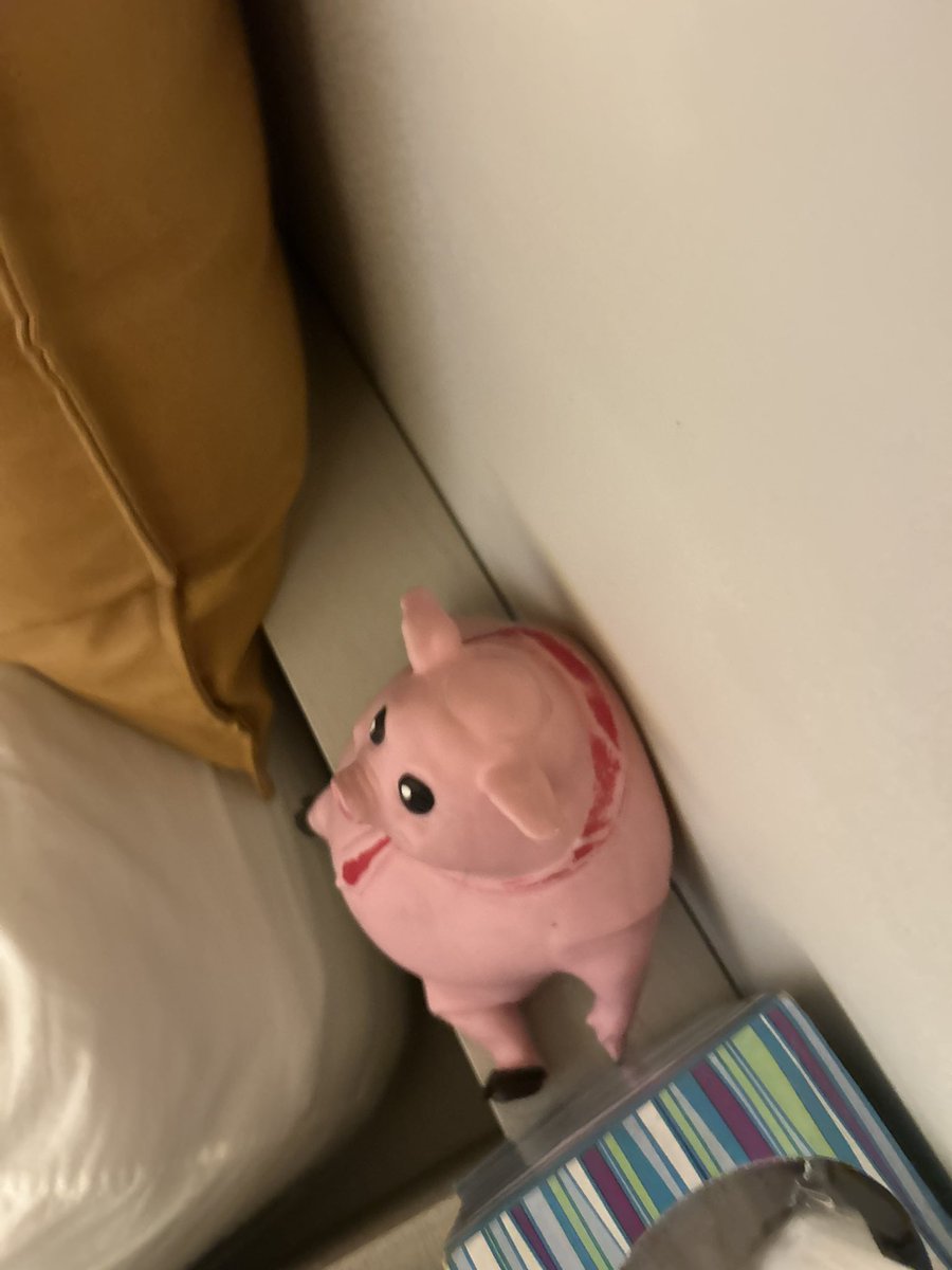 Partner got on my phone and took a bunch of random pictures of our hotel room last week but this one was in there too so it was all worth it