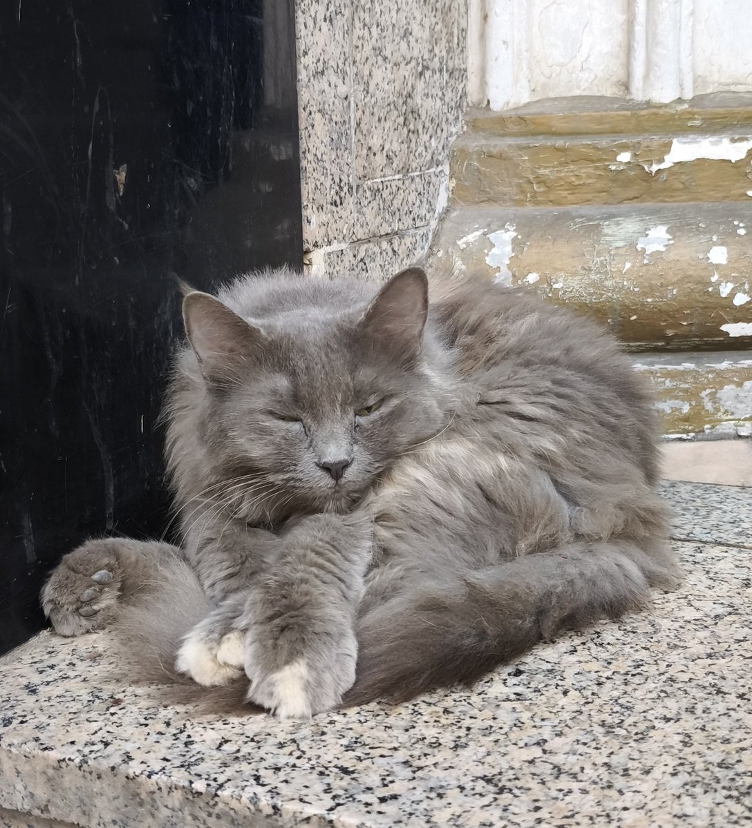 SadeCubukKraker's tweet image. Mutlu olmak için ne yapmak gerekiyor?