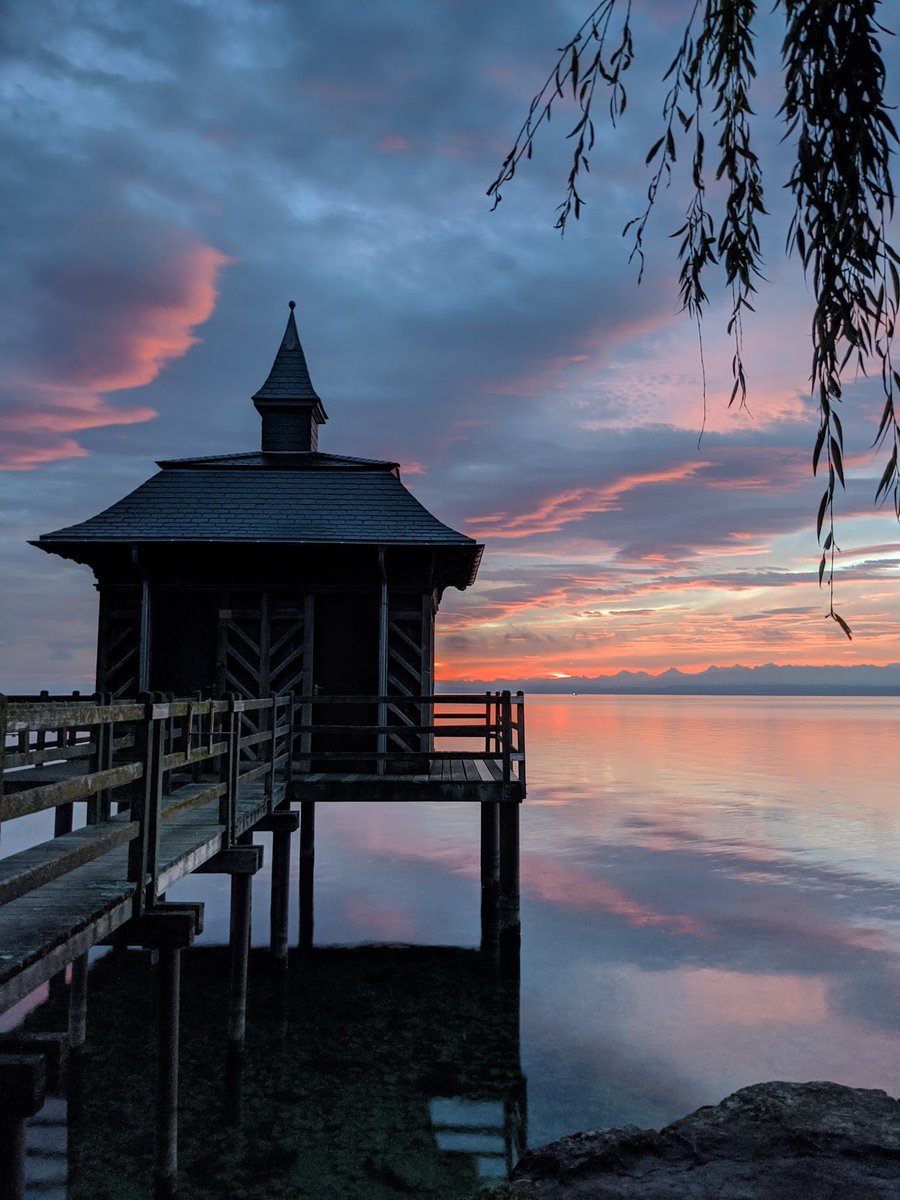 Your level of wisdom depends on a specific skill: 

Your ability to change your behavior based on objective reality

Some people are better at this than others

They reflect on their experience and the experiences of those around them 

And they quickly incorporate that data to