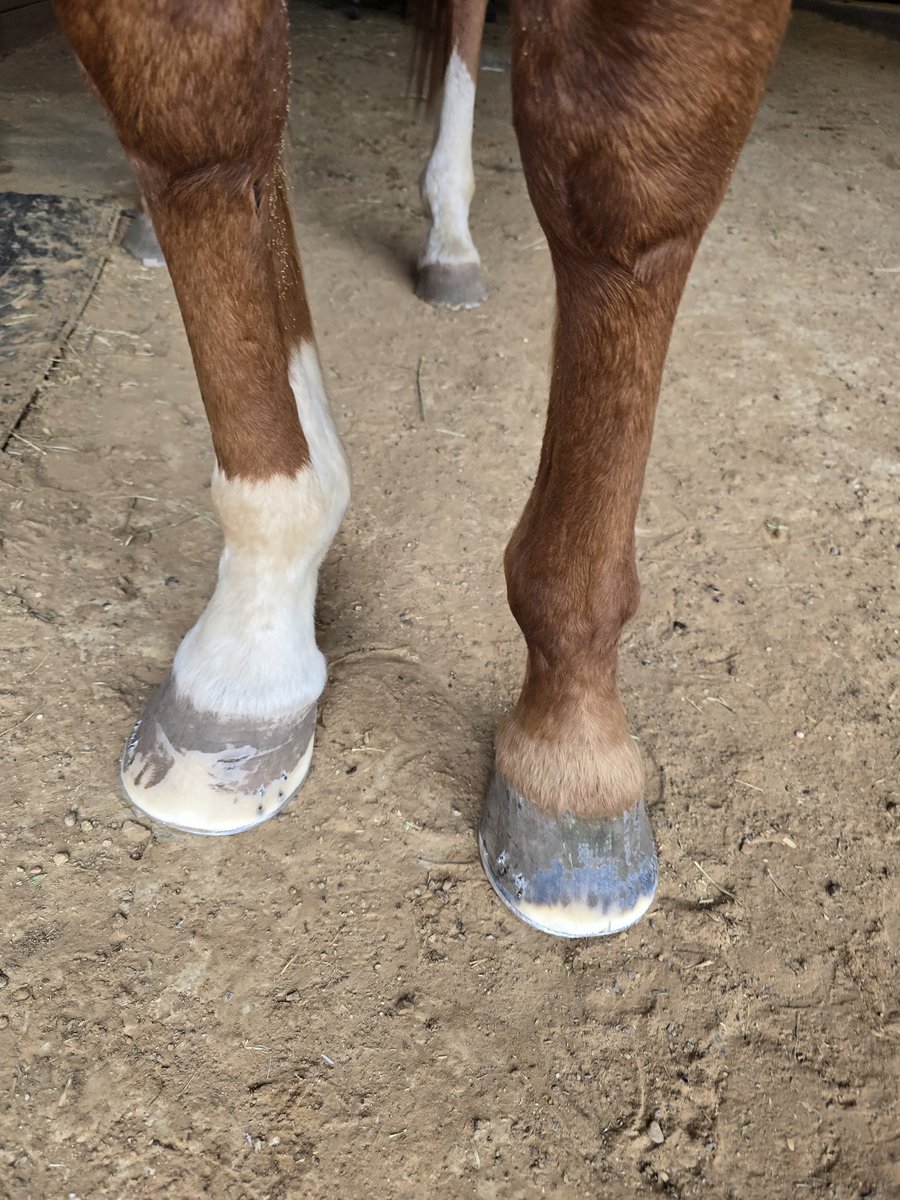 Remember Me tweet media