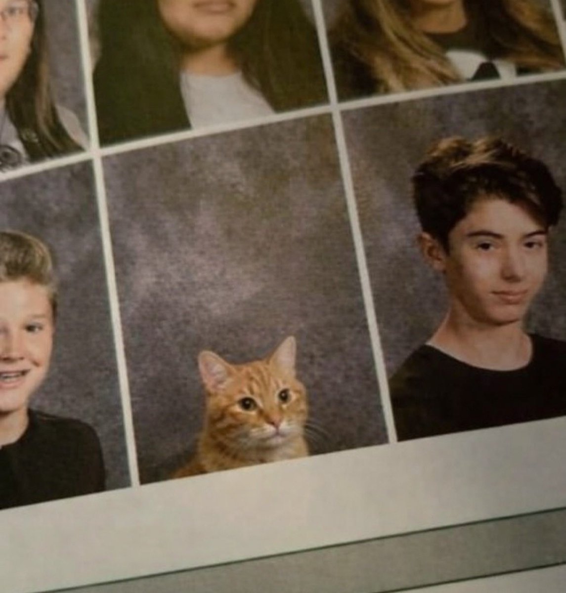 Bberfll's tweet image. Sınıf arkadaşları..