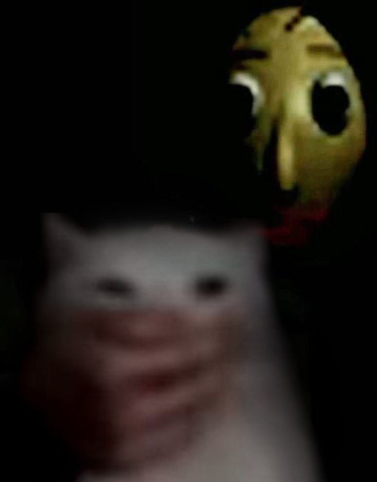 HERRSCHER~☆ tweet media