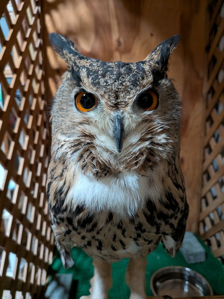 ただいま〜。ご飯持ってくるから、もう少し待っててね
