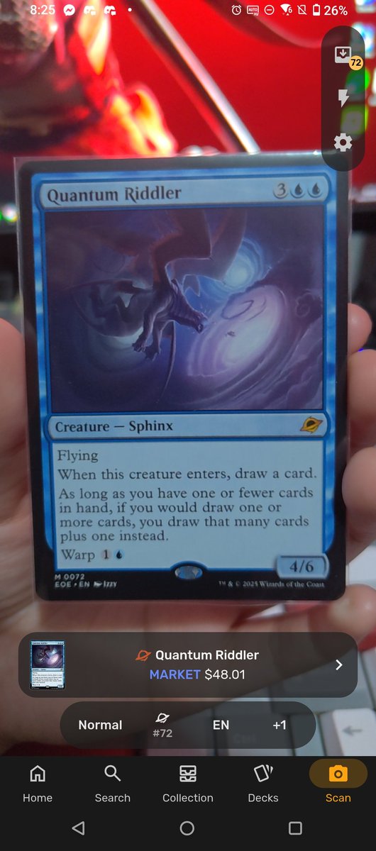 WhaleHeda tweet media