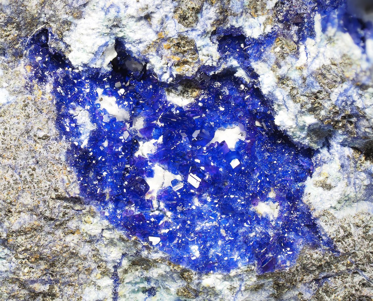 腐った」感のある標本中に見つけたキラキラ部分。画像幅 7mm。 ―― この