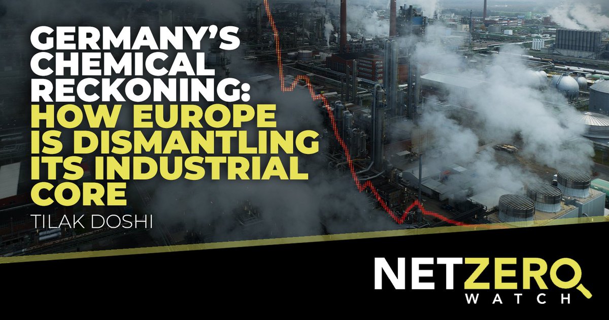 Net Zero Watch tweet media