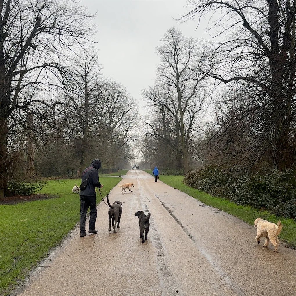 eshwaryaaa's tweet photo. Always late, I blame dog traffic https://t.co/W1Qq2rFO1v