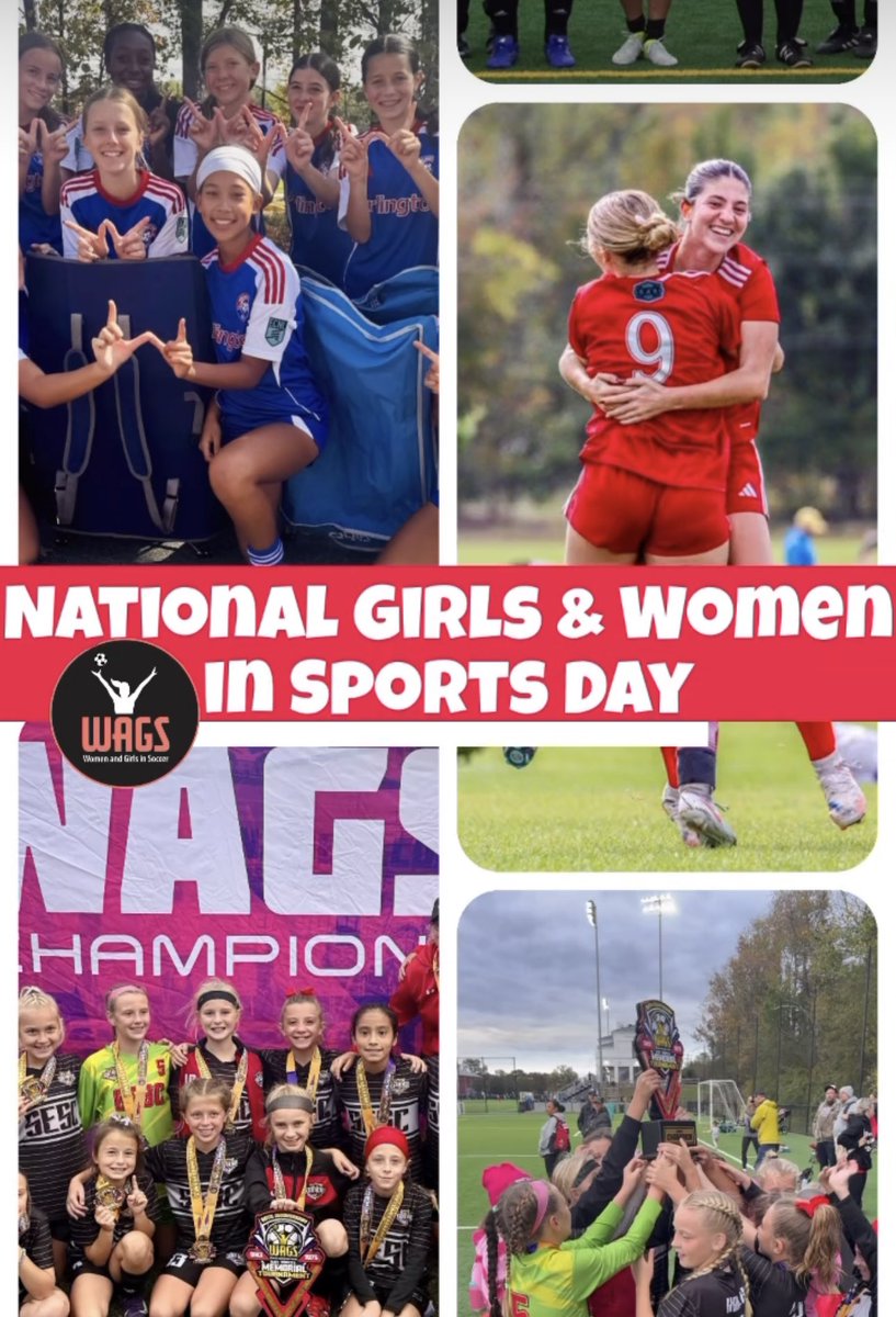 WAGS Tournament tweet media