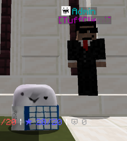 bread_man1209's tweet photo. It was a lot of fun to play "Find the Button", @MineXsol's debut event. It was hosted by @EndermitePVP and went off without a hitch. Each participant received a limited-edition item, and the winners received extra items that emphasized their positions. My proud accomplishment of placing 3rd placeout of all online users made the event even more memorable. 🏆