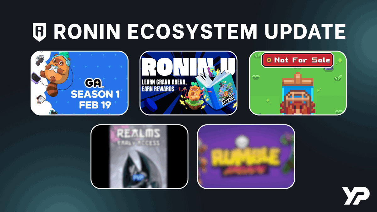 yellowpanther 黄豹 💎 tweet media