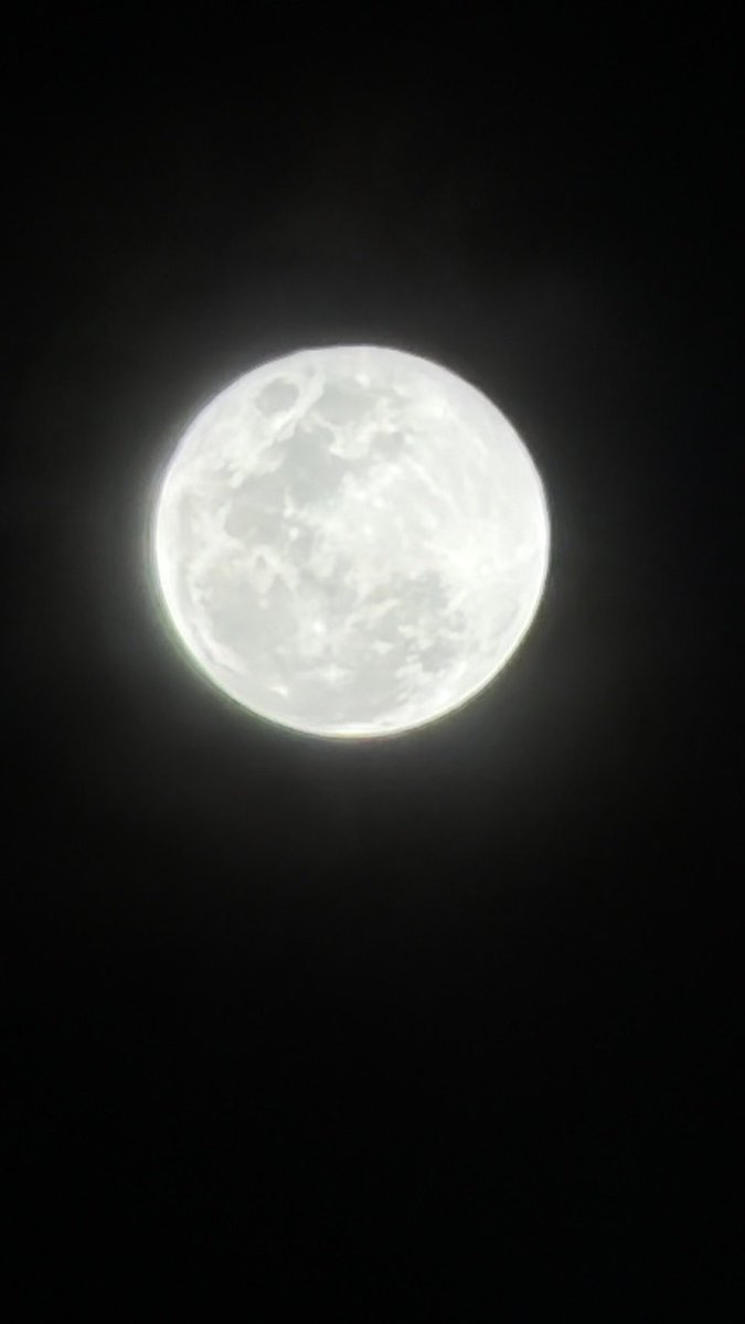 MisterGrtsp tweet picture