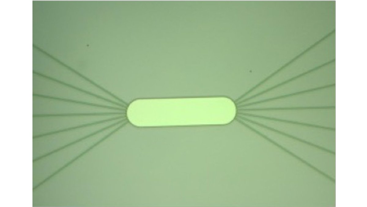 OpticaPubsGroup's tweet photo. An Editors' Pick via #OPG_OpEx: Expanding detection bandwidth via a photonic reservoir for ultrafast optical sensing https://t.co/2fo3Ldfrke #OpticalComputing #QuantumEfficiency @KanazawaUniv_O https://t.co/PedErXKFVM