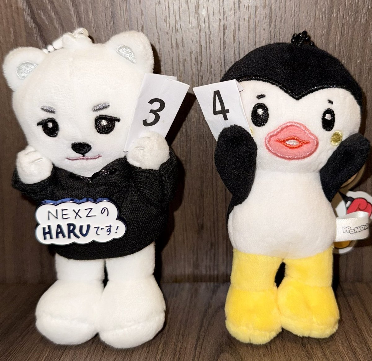 260204 HMV全サ 最前ドセンお友達と連番幸せすぎて死ぬ @nexz_ric