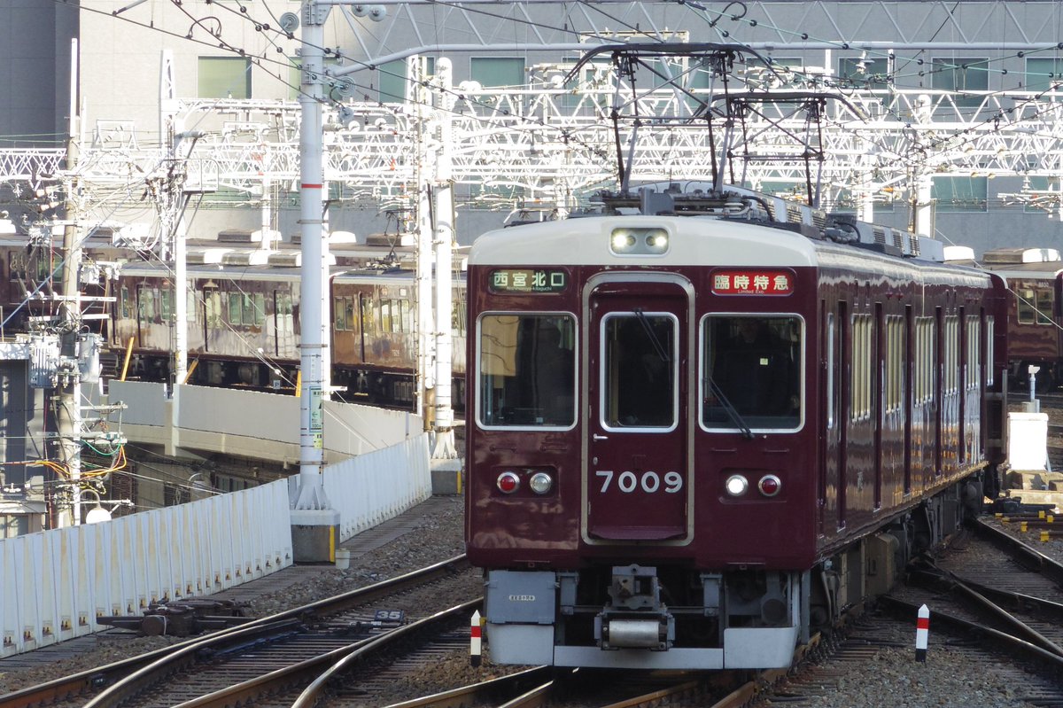 ⭐︎鳥3王⭐︎ Post by 青い鳥202210313334&ゴジラも好きだがバラン好き&号さん on X