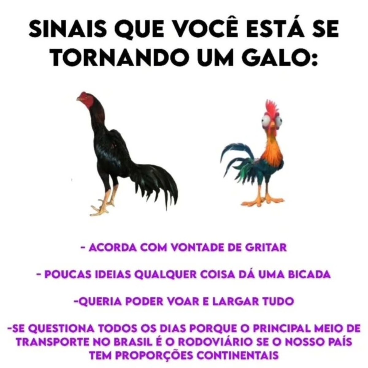 paginalixo1's tweet image. 