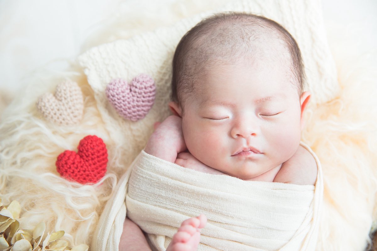 みき けいこ〈広島の出張撮影カメラマン〉 tweet media