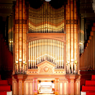 Mark Forrest tweet media