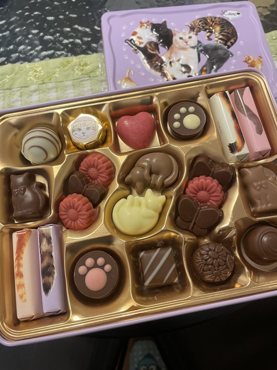 カピバラかぴばら (@capybara5179) / Posts / X