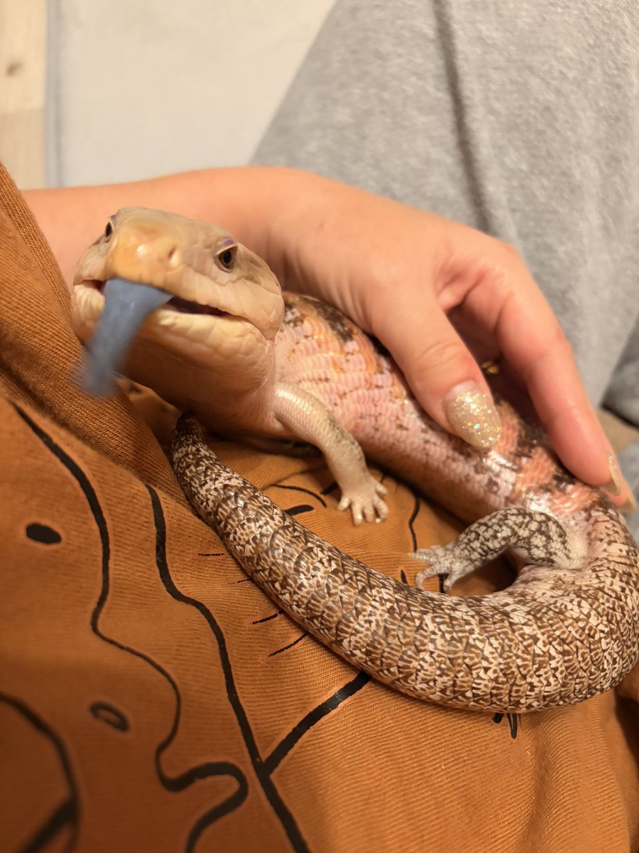 kinasesupomu's tweet image. 可愛いよ早く暖かくなって一緒に日光浴しようね