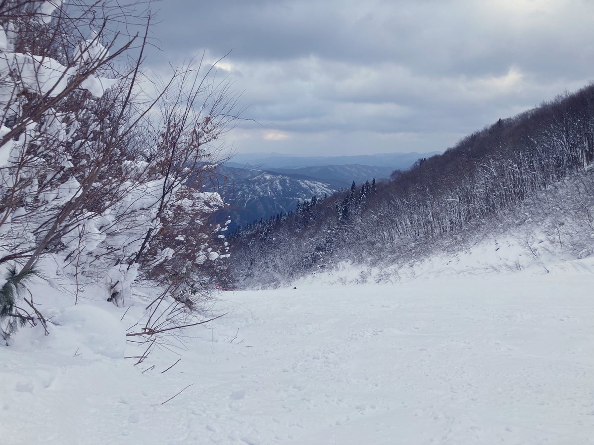 オチャッピィのさぶ tweet media