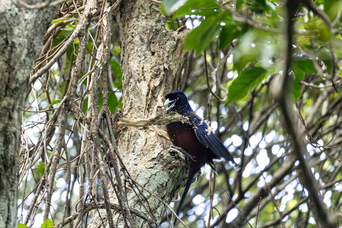 みゆう (@1321_my) / Posts / X