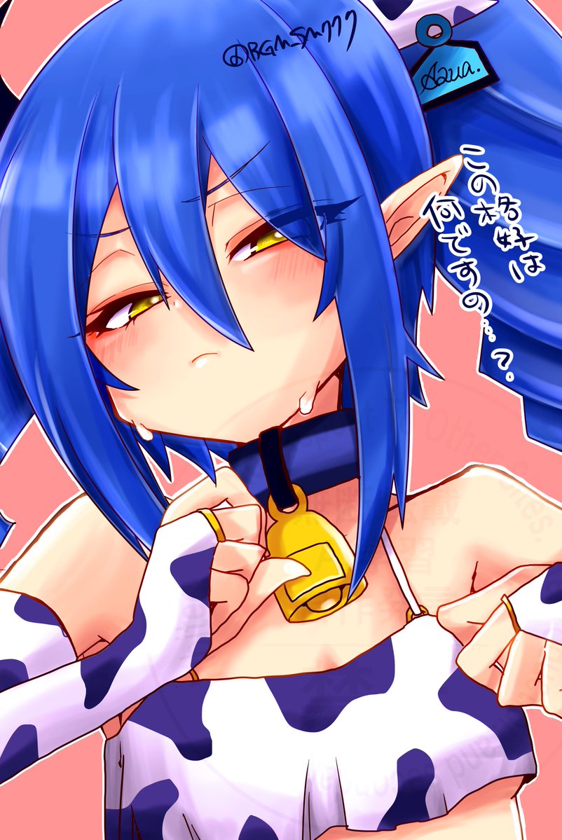 カウカウガールアクア 