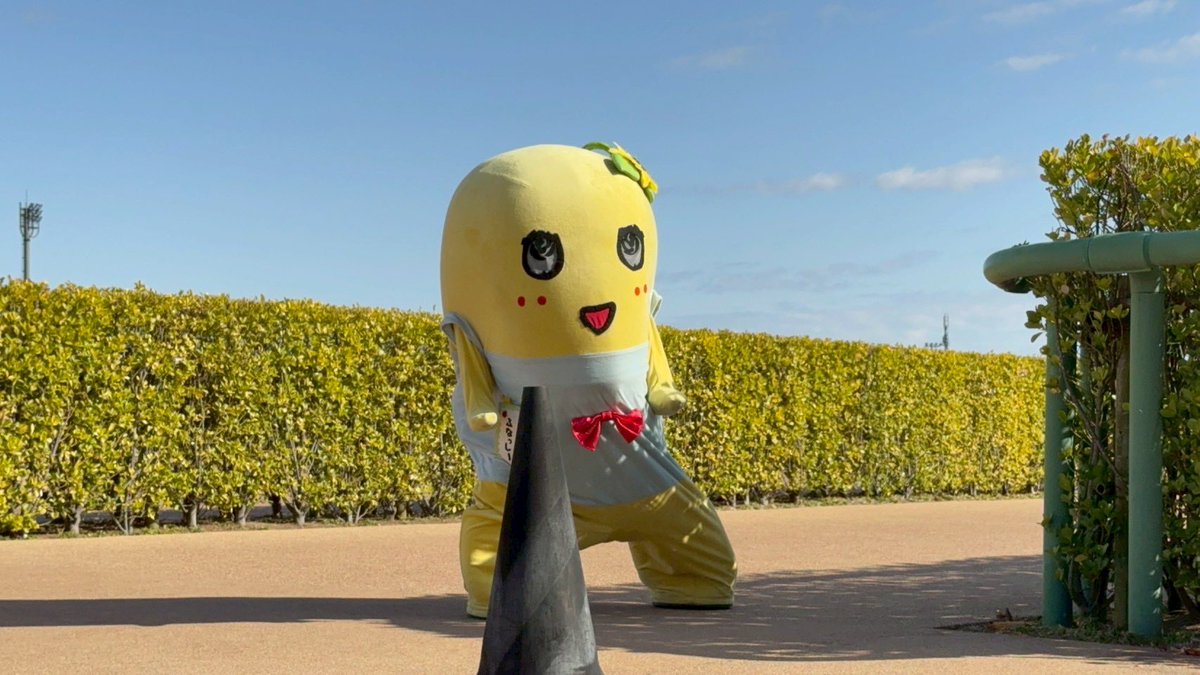 ヾ(。゜▽゜)ノやっ♪