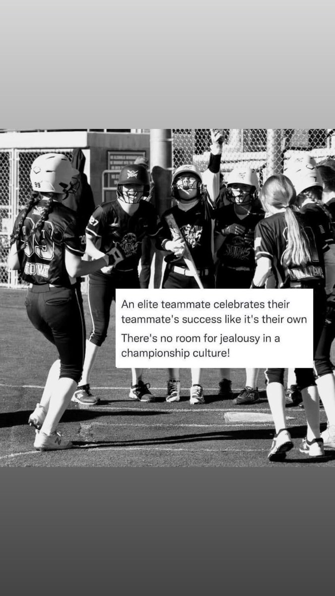 D1 Fastpitch tweet media