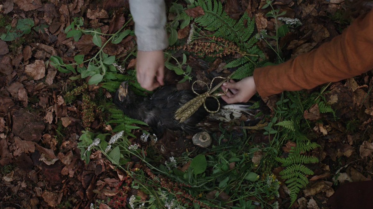 shadowknightdk's tweet image. hamnet (2025) dir. chloe zhao