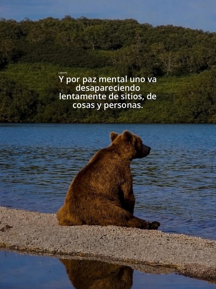 BANDIDOS (@bandidosfrasess) on Twitter photo 