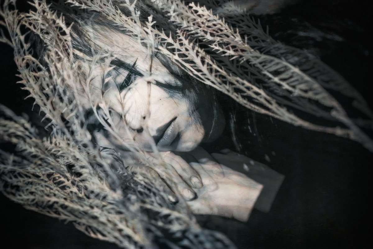 #世界観コレクション