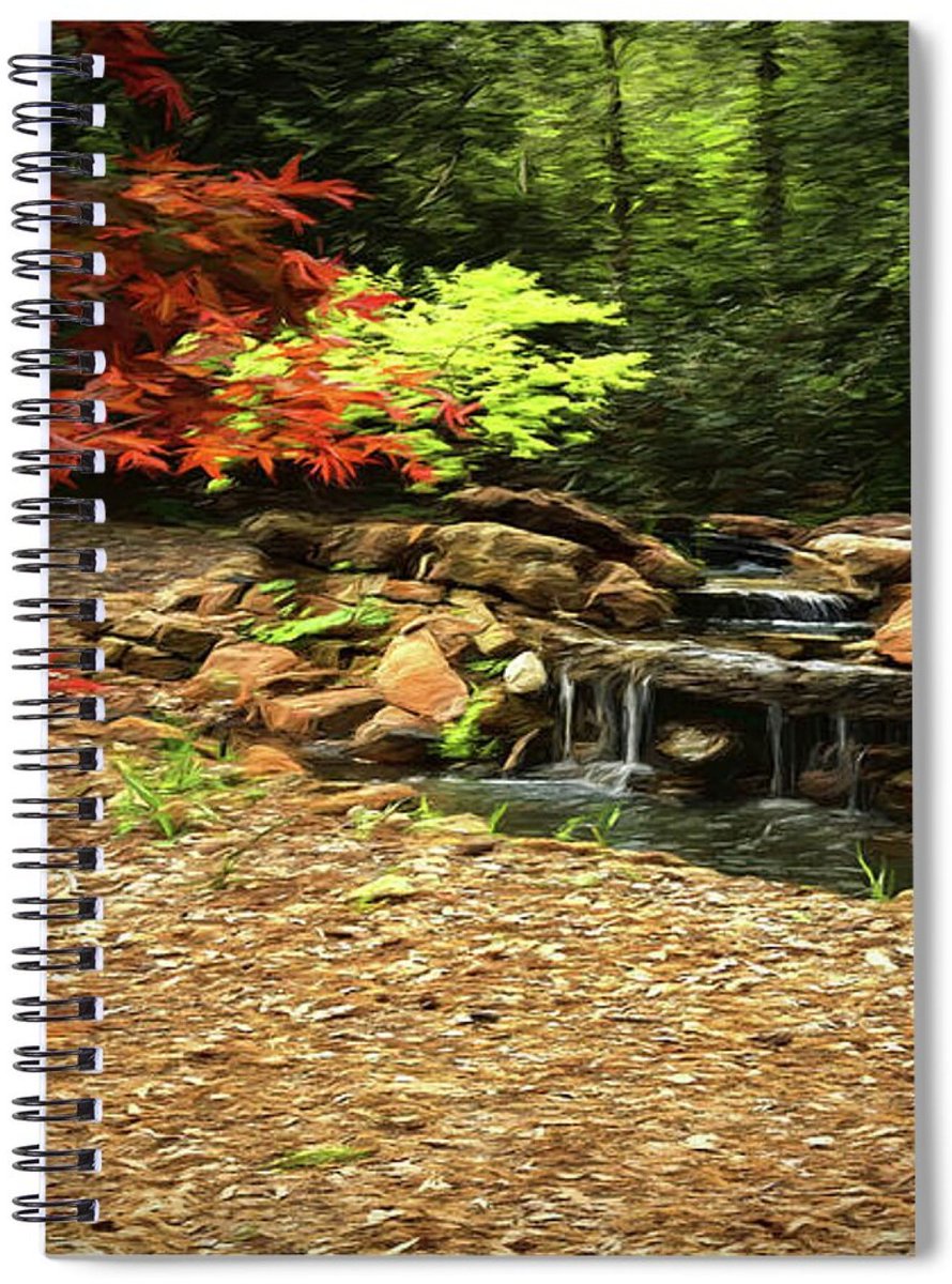 JudyVincent74's tweet image. Peaceful Moment #ArtPrint Also available as canvas, metal, wood, acrylic, framed prints and on many products #nature #waterfall #garden #photography #BuyIntoArt #HomeDecor #JudyVincentPhotography #WallArt 
See all products here ---&amp;gt; buff.ly/AdbeFsQ