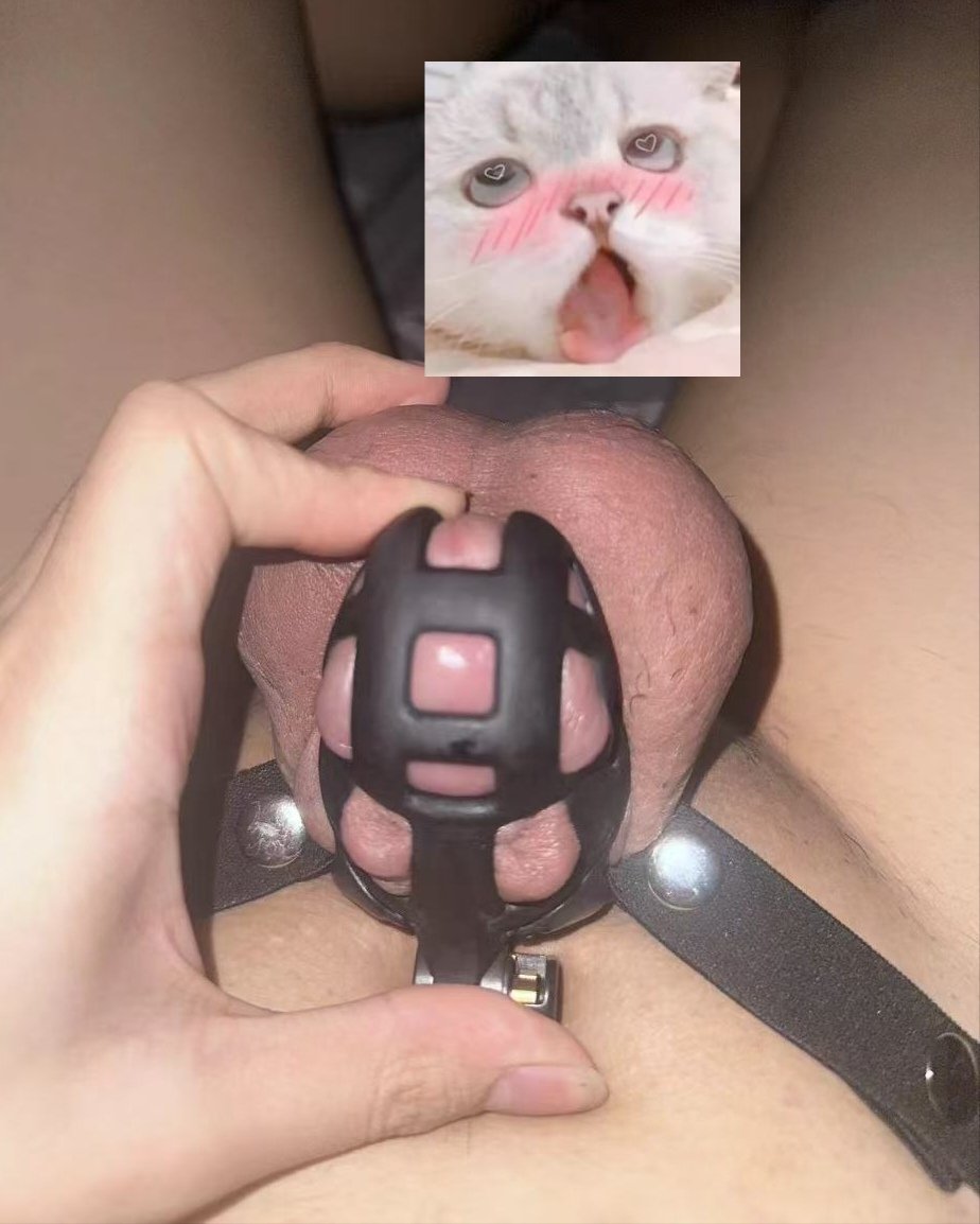 无毛的好看还是有毛的好看🥵🥵

#骚狗 #贞操锁 #肉便器 #早泄 #SM #锁狗 #贱狗 #骚逼