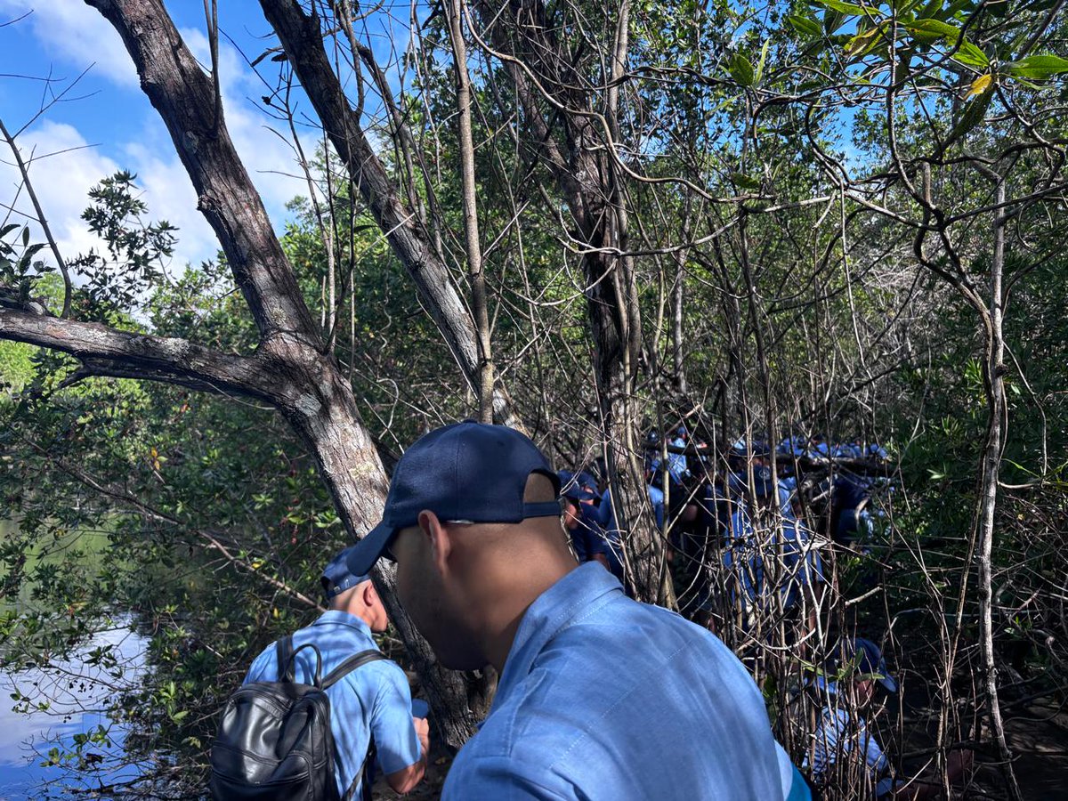 umaritima's tweet photo. En el marco del Día Mundial de los Humedales, estudiantes de I Máquina Charlie e I Máquina Bravo realizaron una gira académica a los manglares de Veracruz. 

Junto a expertos de la Sociedad Audubon de Panamá, se sumergieron en la observación de aves y especies marinas. https://t.co/3X2zIFuMRy