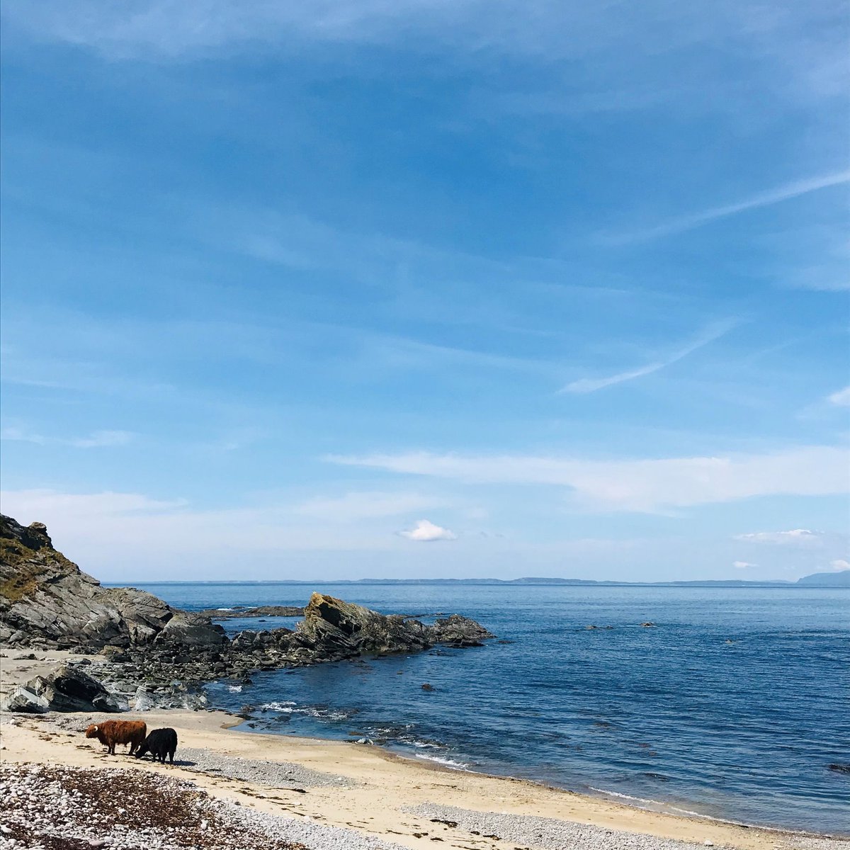 The Isle of Colonsay Distillery tweet media