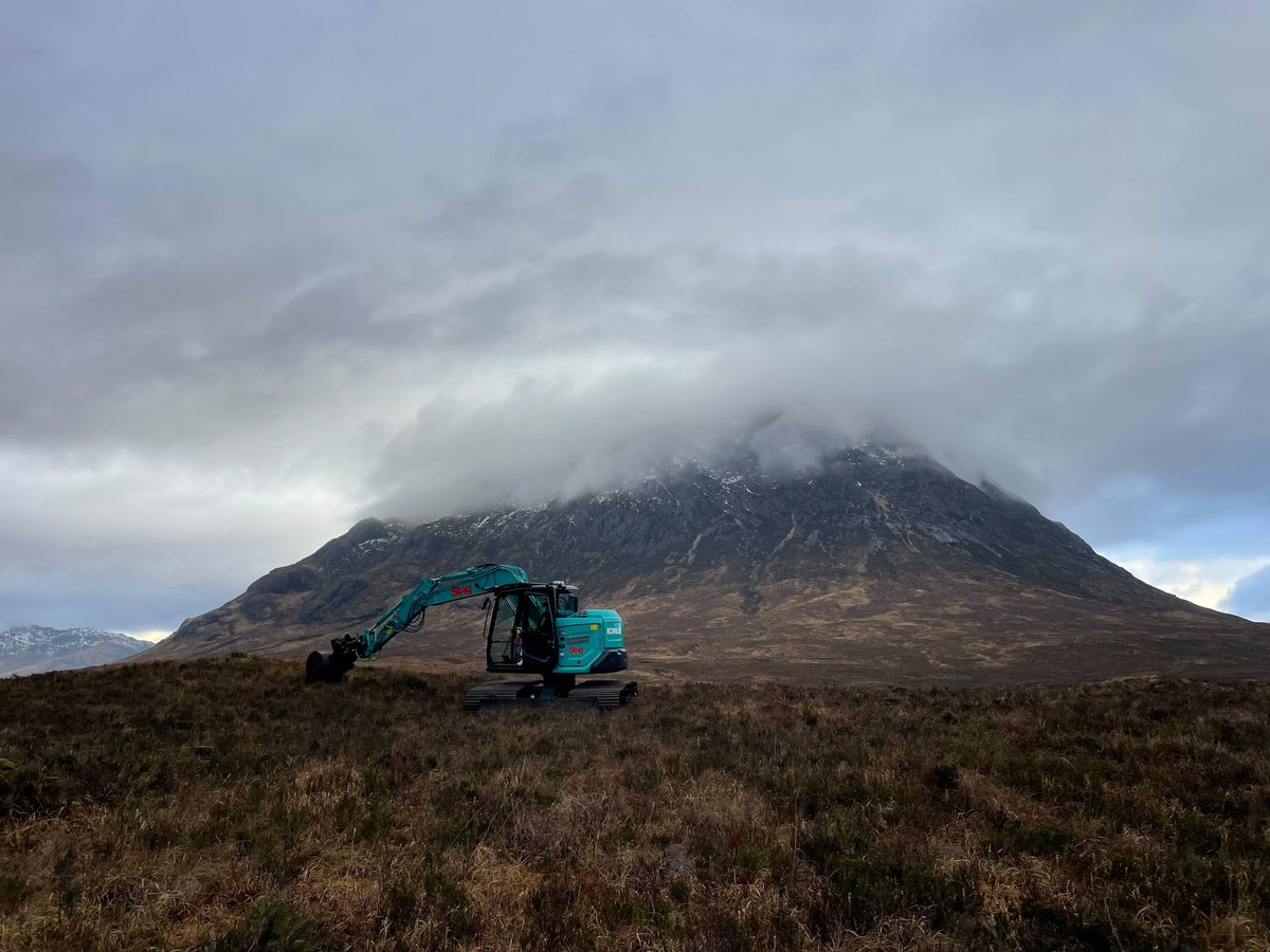 British Dragonfly Society tweet media