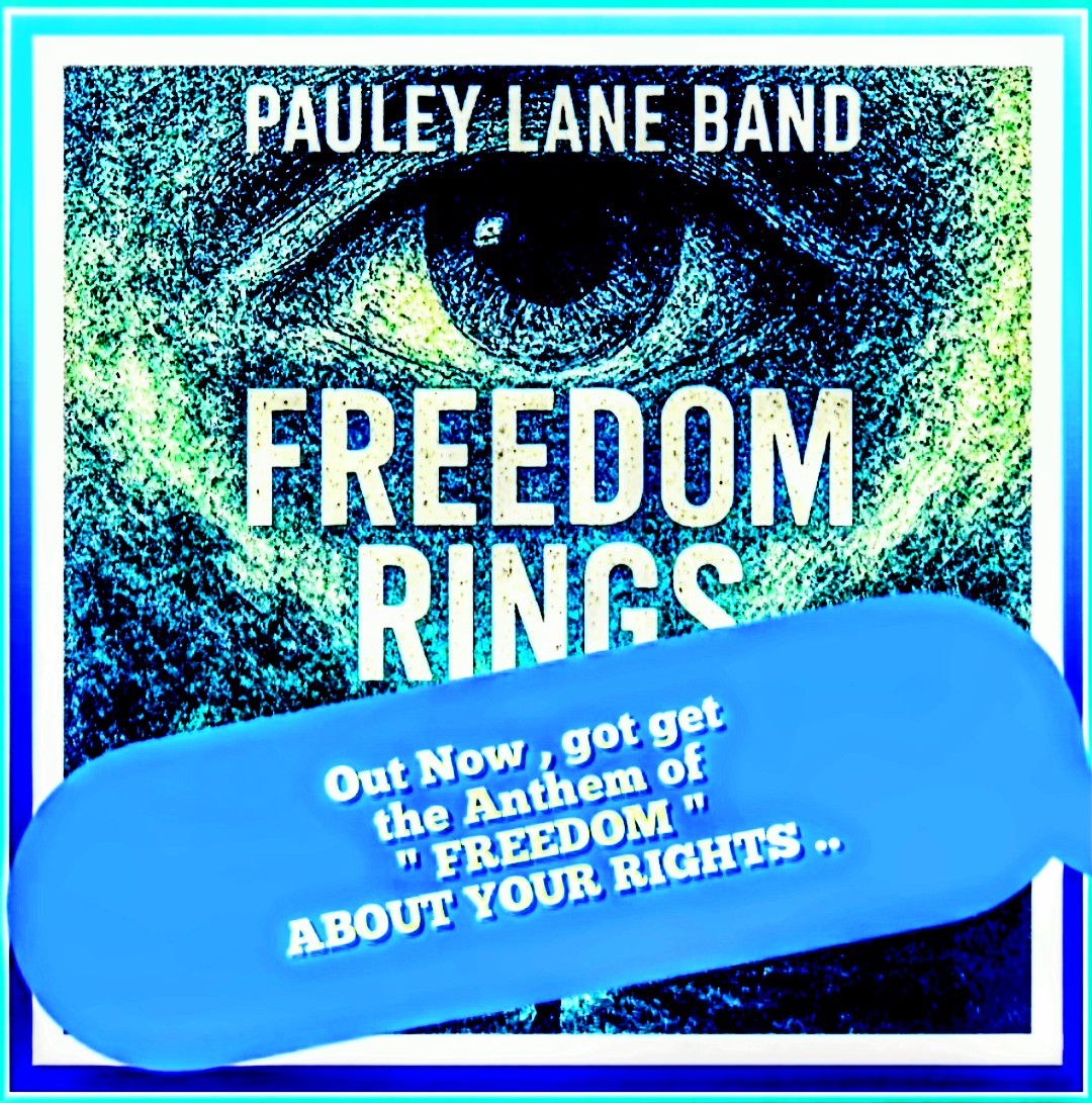 Pauley lane band. tweet media