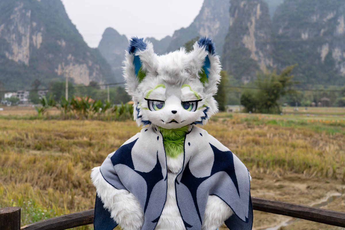 立春至·万物生
#松青 #FursuitEveryday