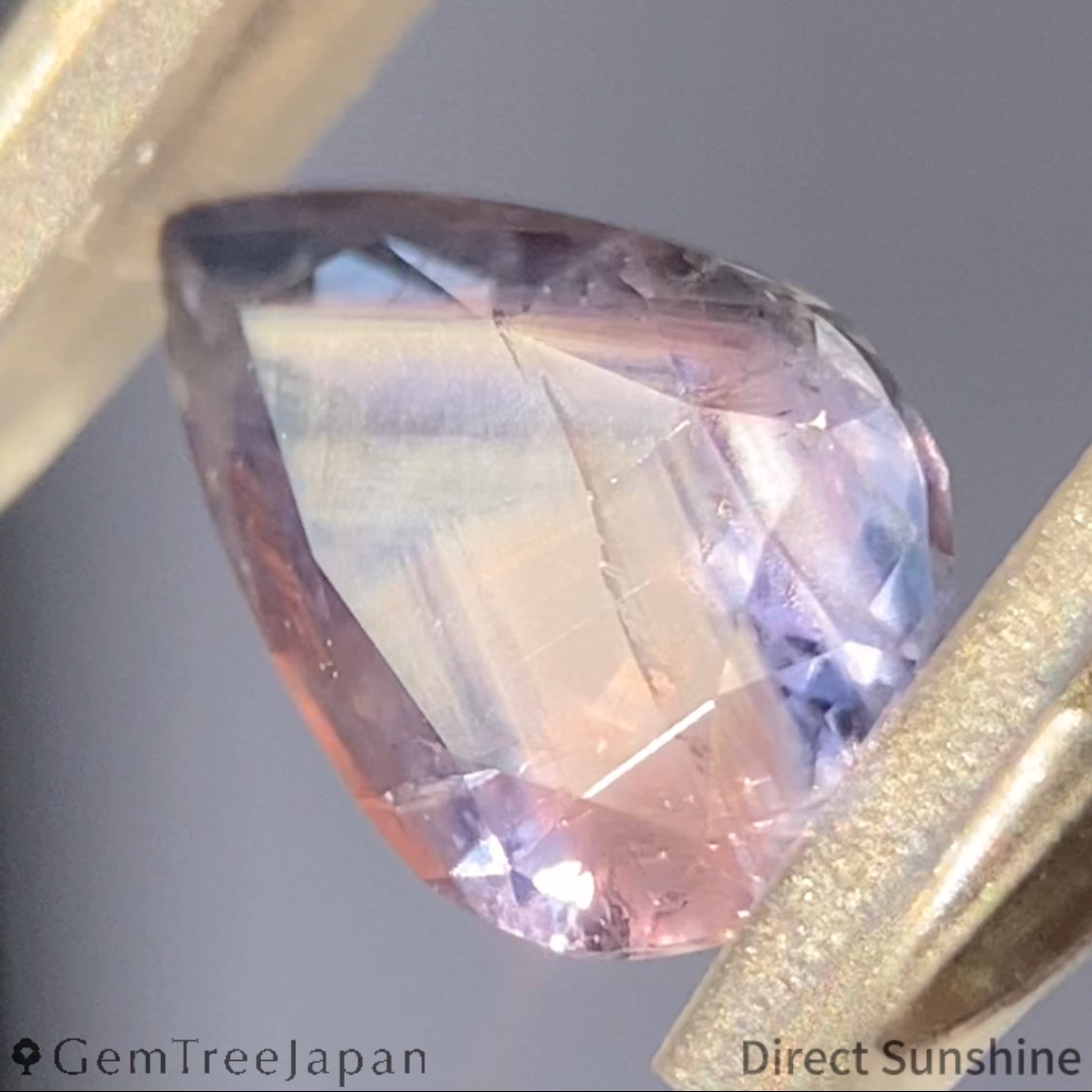 GemTree_Japan's tweet photo. 全体を覆うシルクインクルージョンやクラックなどの表情豊かな結晶を引き立てる、シンプルなカット。

原石の形状を活かしクラシックなペアシェイプに仕上げた、おもしろ渋可愛い非加熱サファイア。

非加熱サファイア1.243ct
タイ・カンチャナブリー産

Un-Heat Sapphire 1.243ct
Thailand / Kanchanaburi

#サファイア
#sapphire