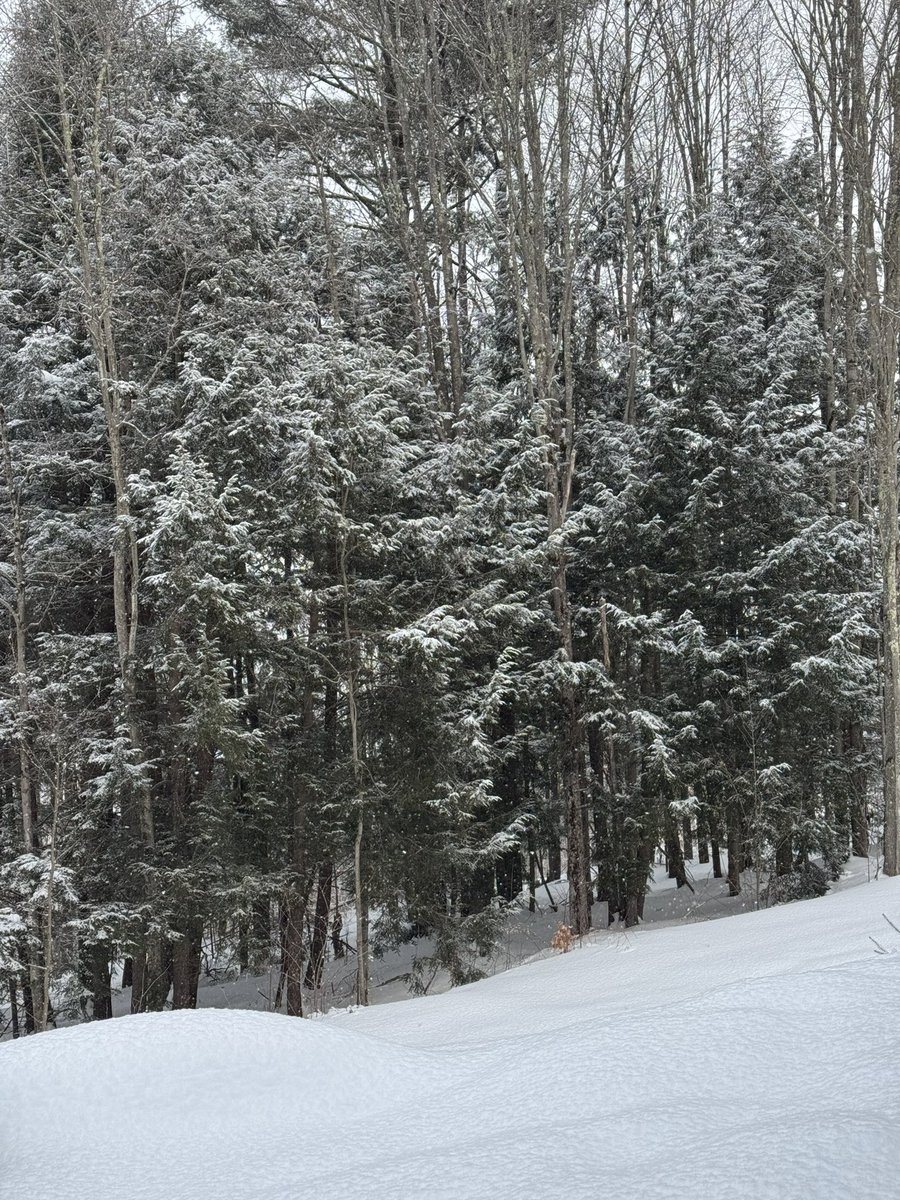 Thoughts on Epstein:

The evil in the world is real. It will consume you if you allow it.

Beauty in the world is also very real.

Choose where you focus.