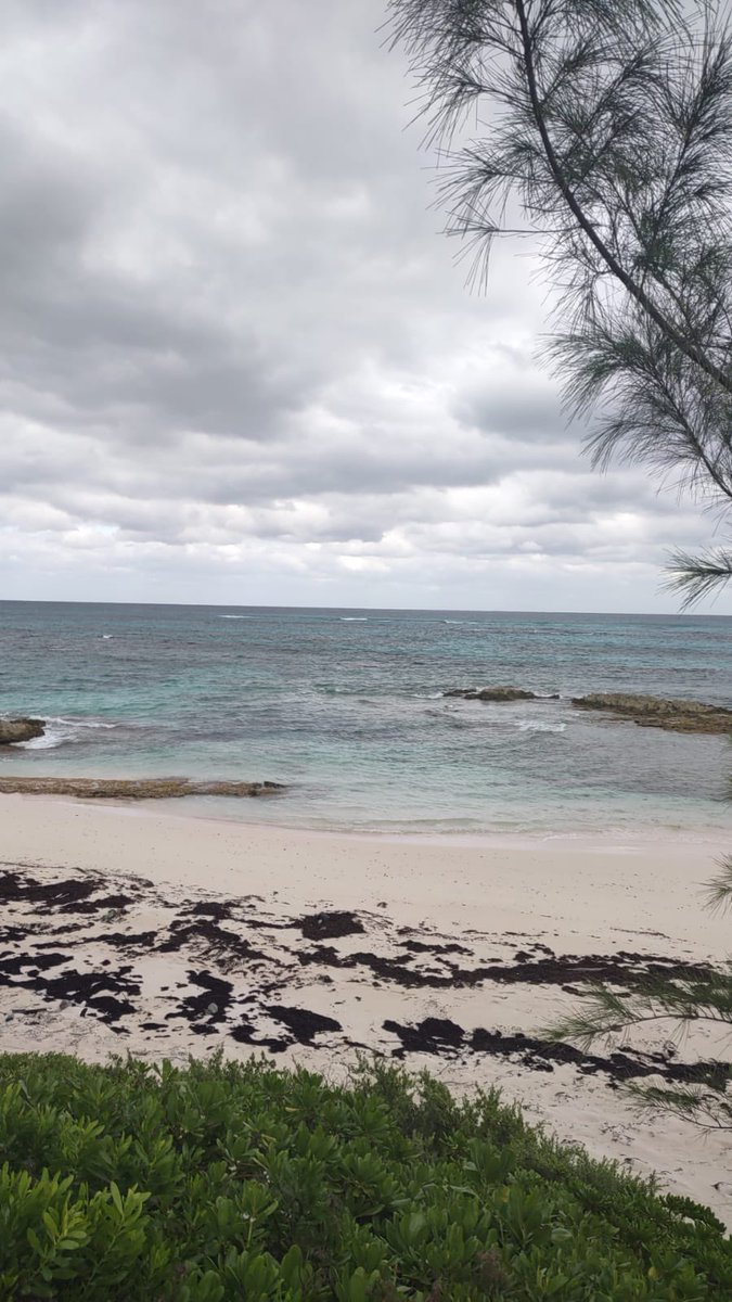 Pillar Properties, Inc. tweet media