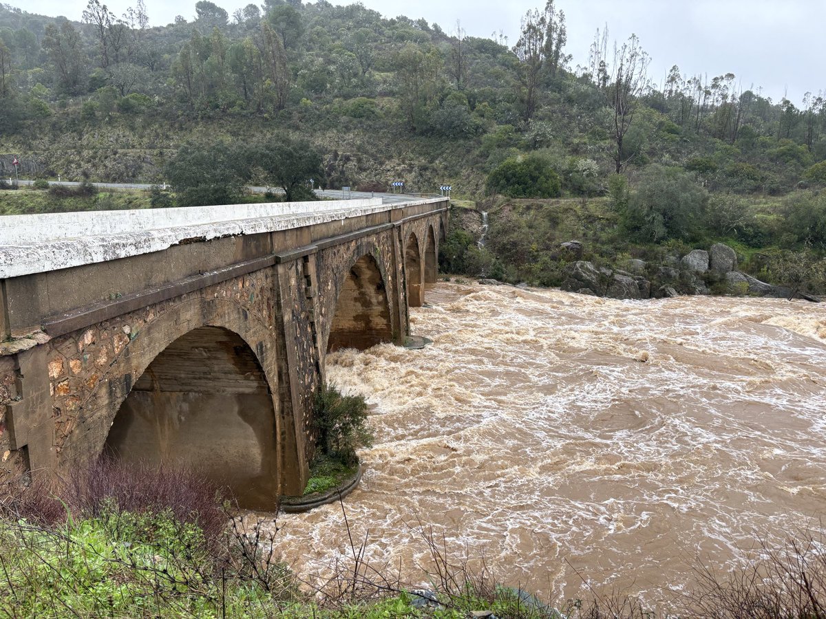 Meteo Zalamea la Real tweet media
