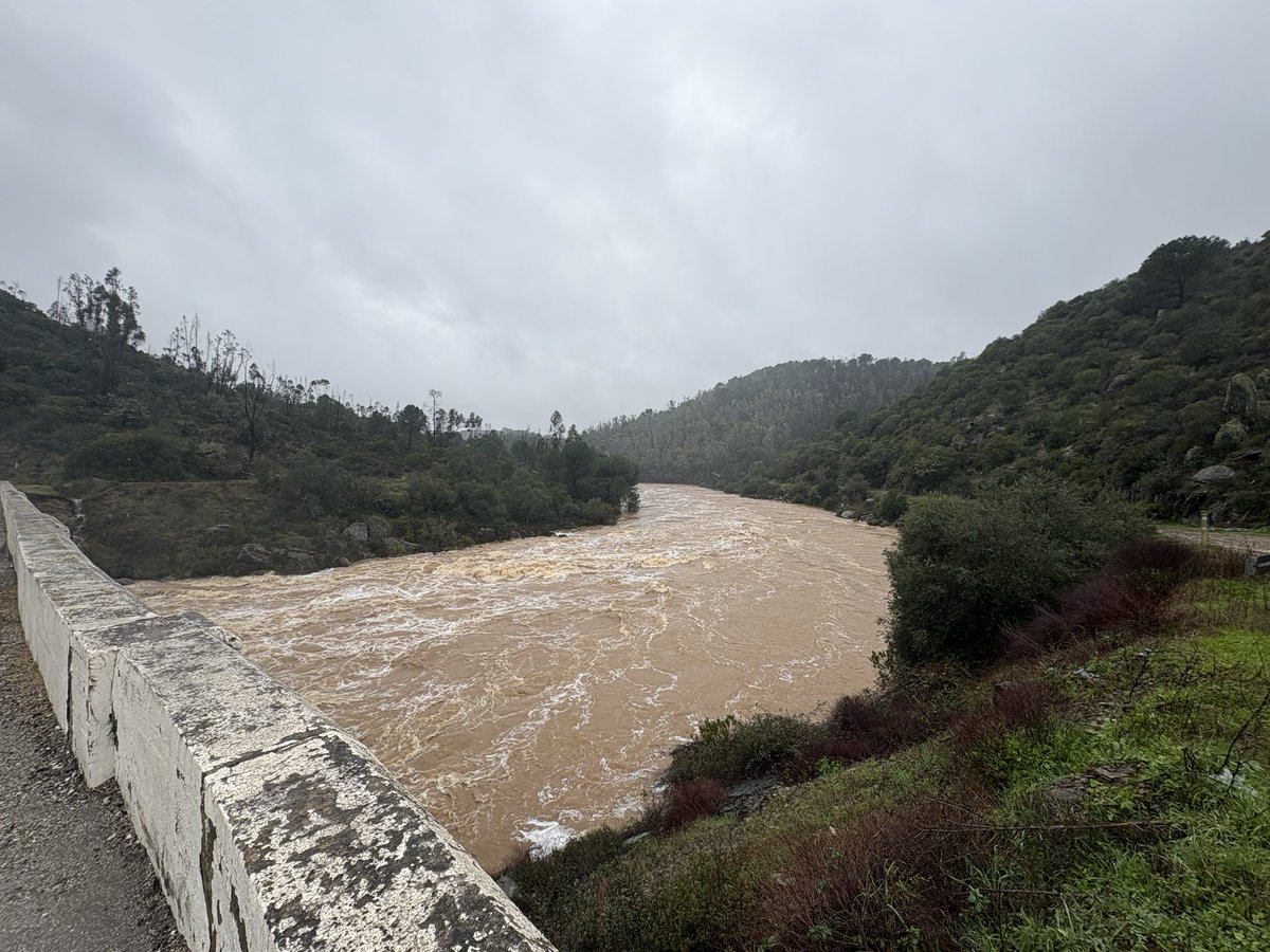 Meteo Zalamea la Real tweet media