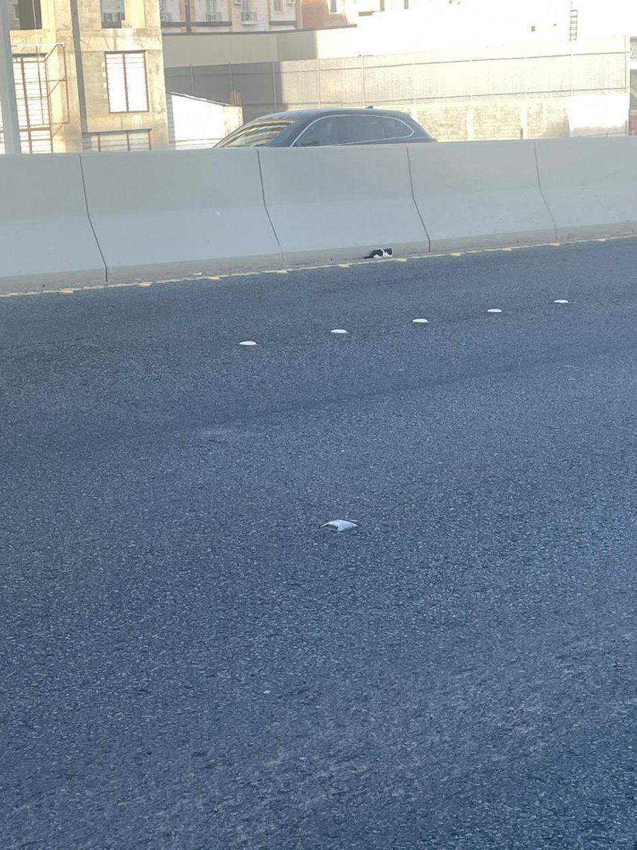 #جده
#انقاذ
الي يعرف منقذين بجده يا ريت يمنشنهم

شوفي هذا عالق فوق وحاولت اطلع امسكو هرب مني لليسار

والناس صارت تدقلي بوري عشان ما اقطع واروح وراه وما عرفت ايش اسوي
على هاد الكبري 

maps.app.goo.gl/3JHq1d6pnXUZky…